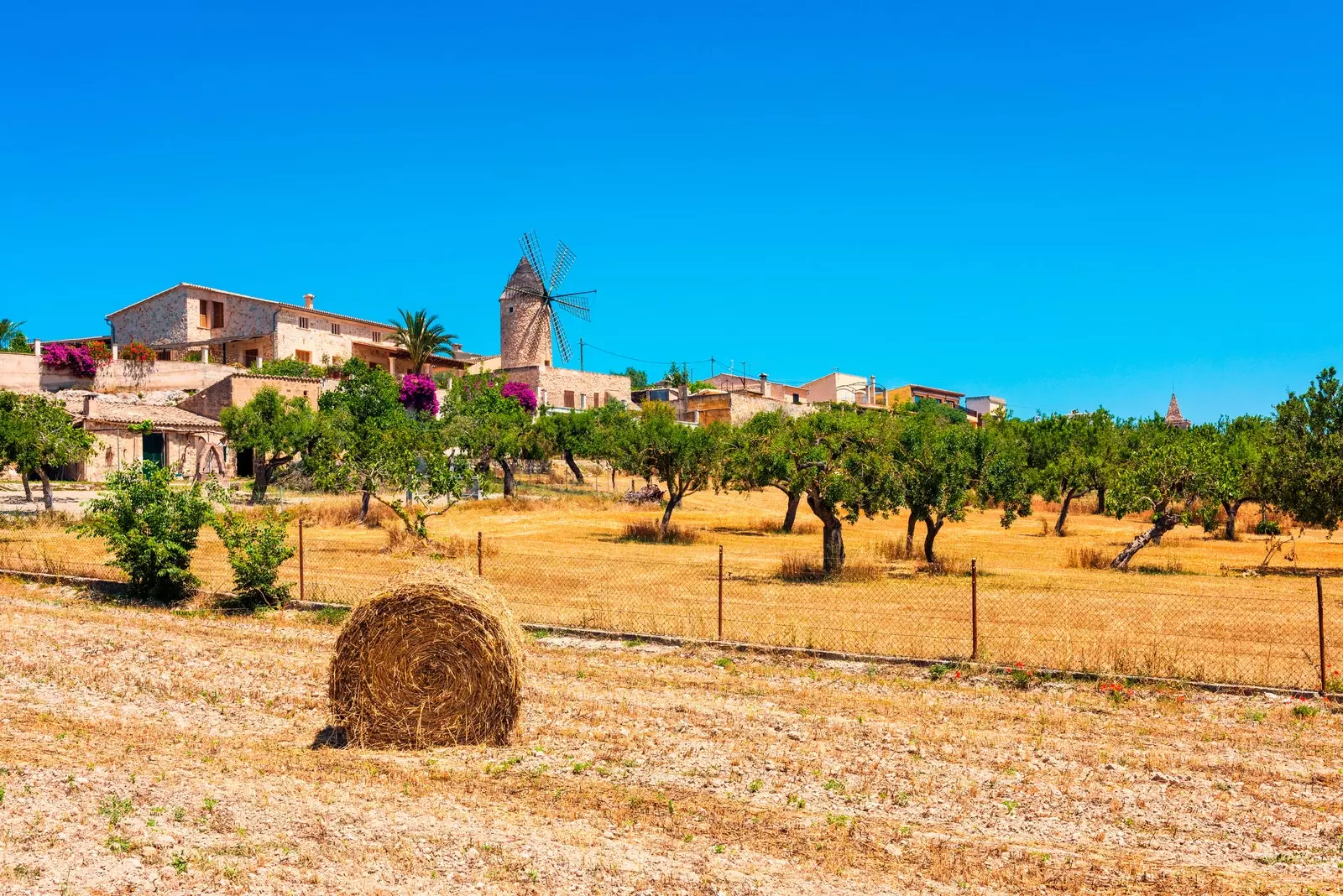 Sineu Majorque