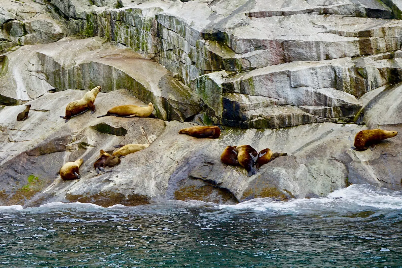 Reis naar het ijsschiereiland, de wilde Kenai-fjorden in Alaska