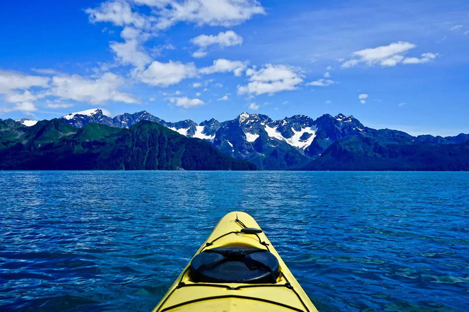 Voyage dans la péninsule de glace des fjords sauvages de Kenai en Alaska