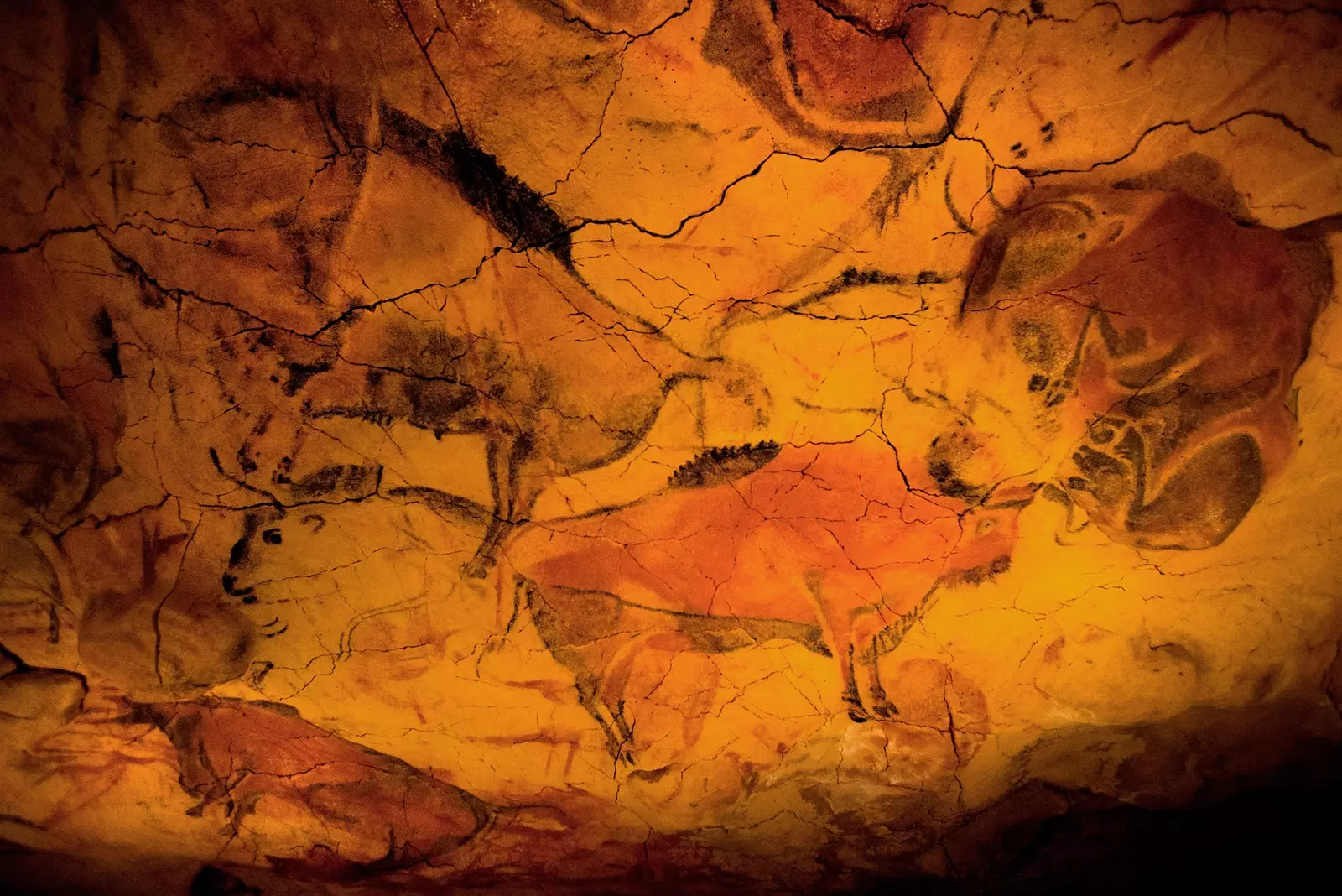 Inside the Altamira cave