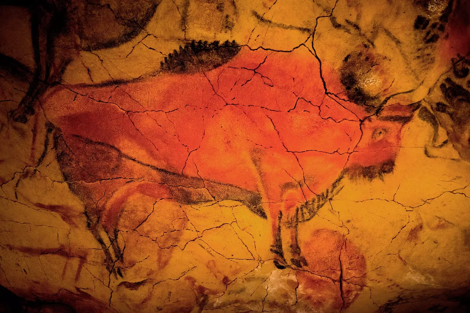 Bison in the cave of Altamira