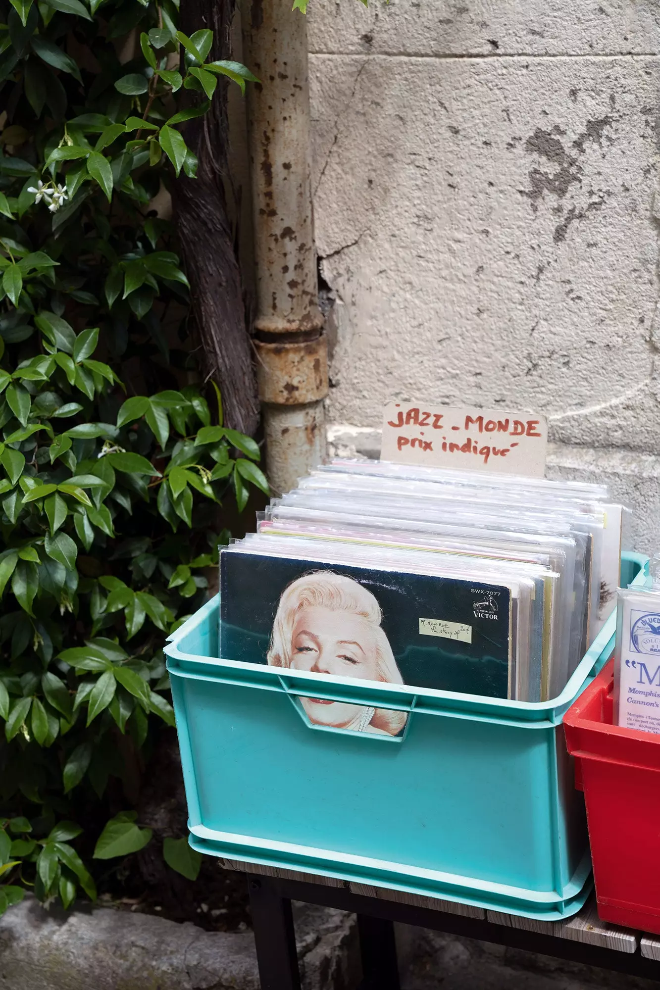 vinyler på bodene i Avignon