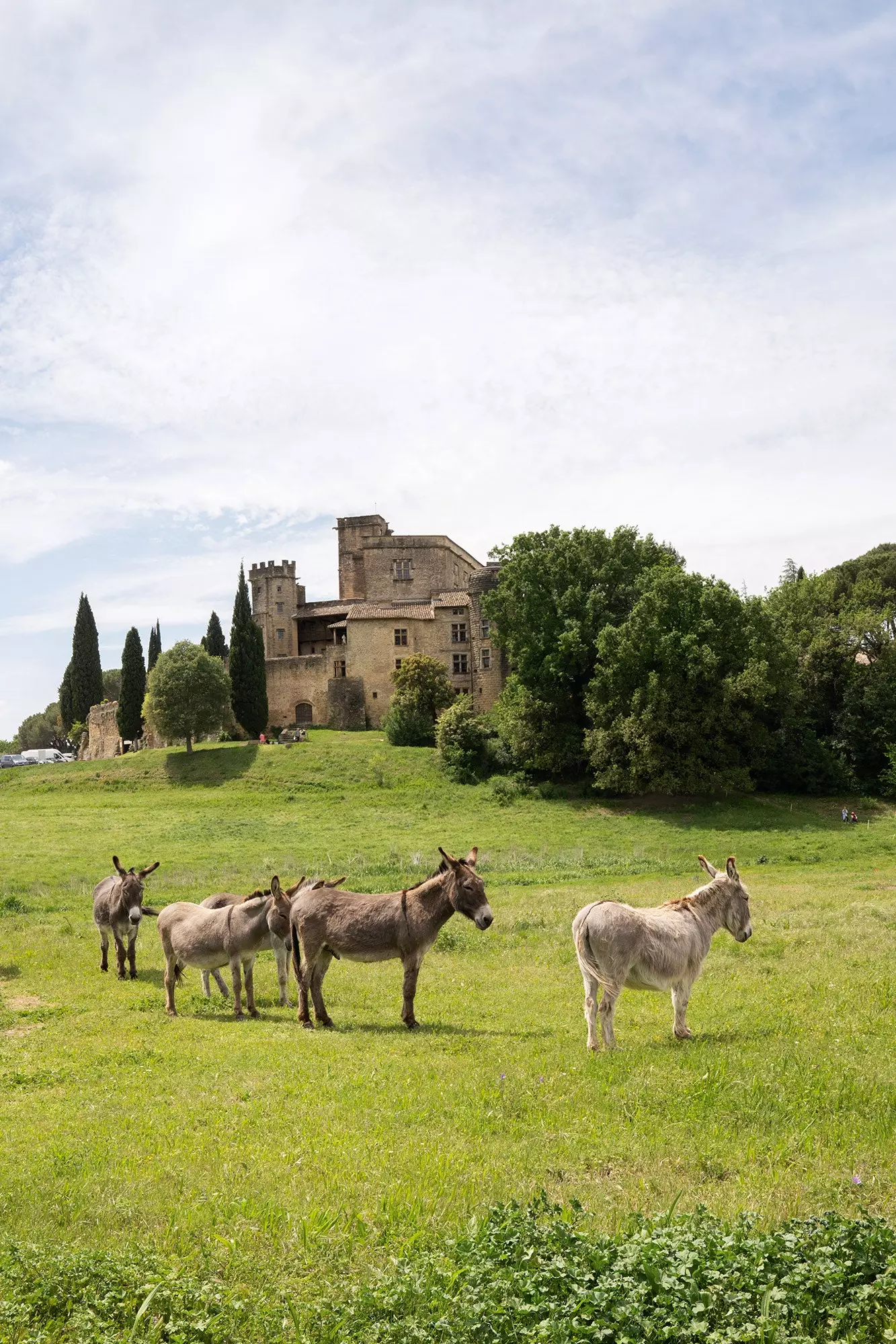 Den uuttømmelige skjønnheten i Provence 769_3