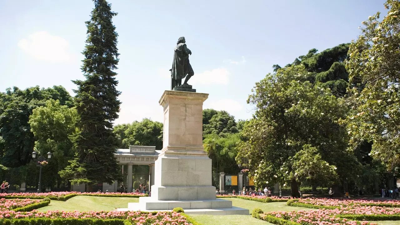 A journey through time through music in the Royal Botanical Garden