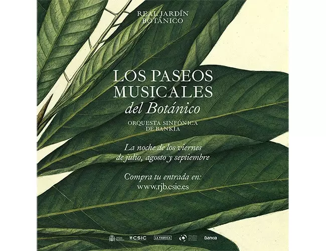 Les Promenades Musicales du Botnico