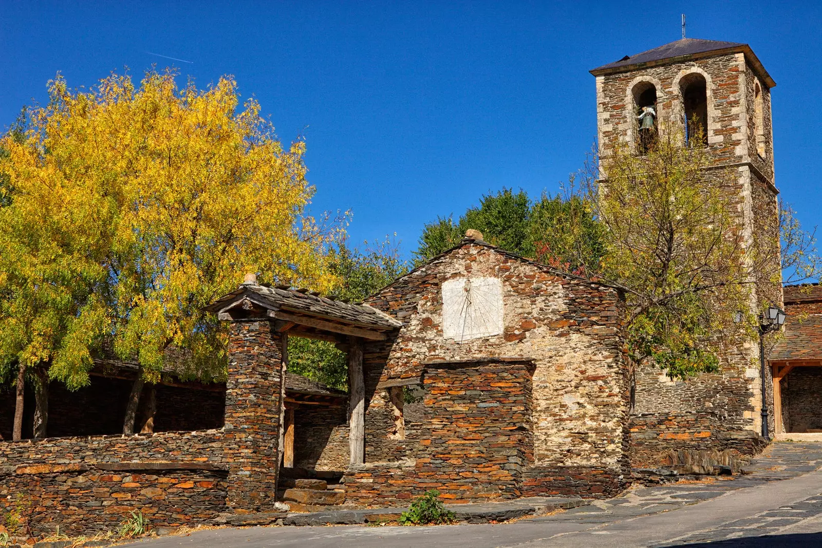 Campo delle rane