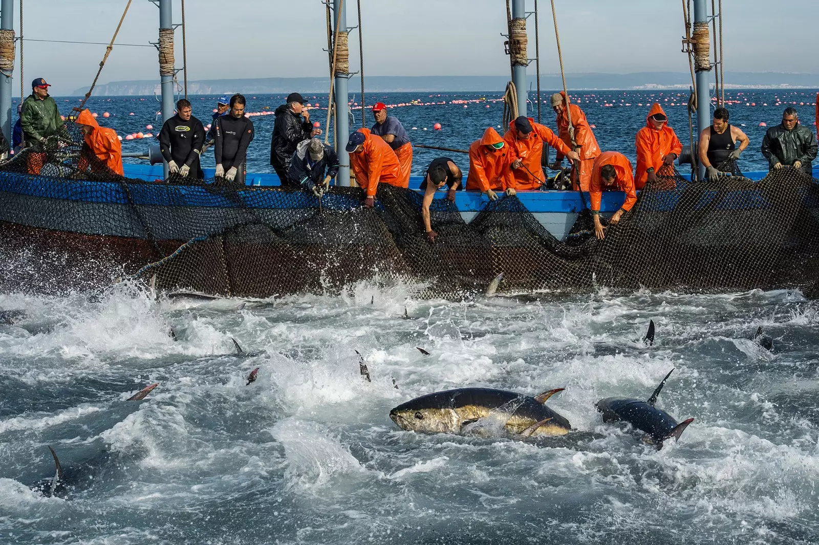 Am Mee ass d'Destinatioun Cdiz, genéisst d'Bluefin-Tunaroute