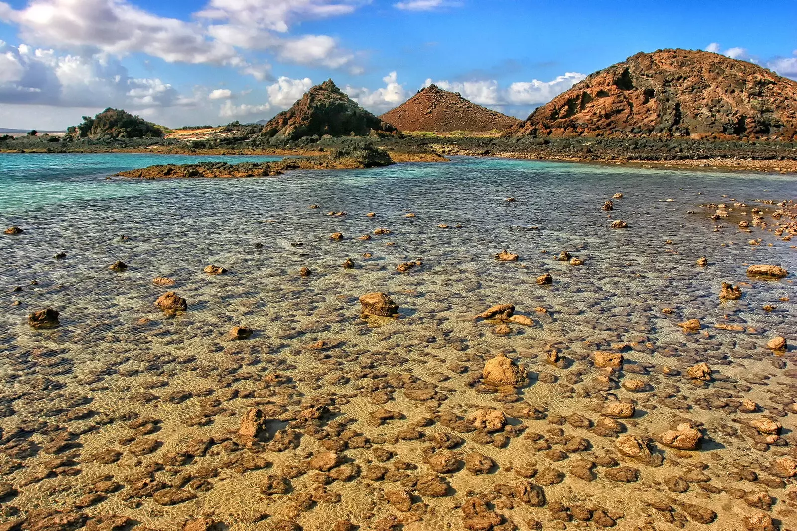 Таван чухал наран шарлагын газар Fuerteventura