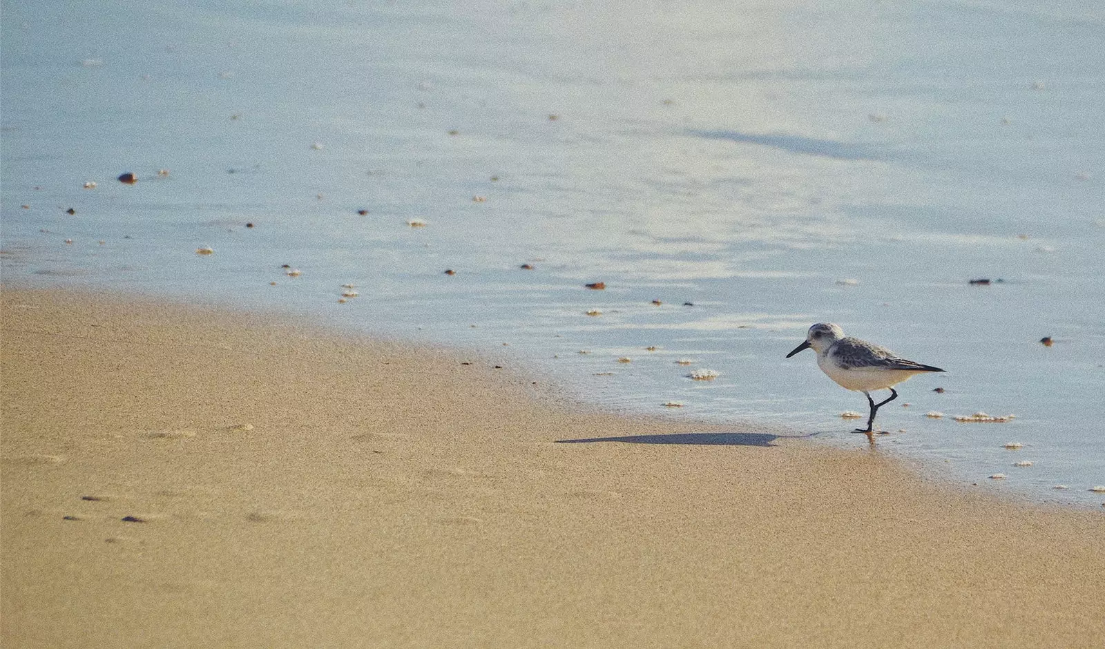 Kust van Benedenwinds strand