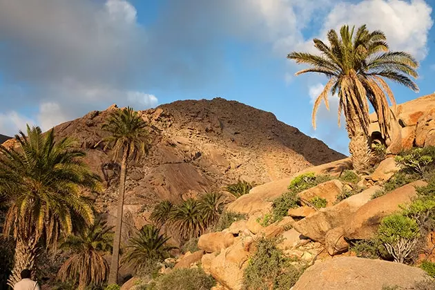 Dans cette oasis du ravin Vega de Río Palmas, Ridley Scott a recréé la maison de Moïse pour son dernier film