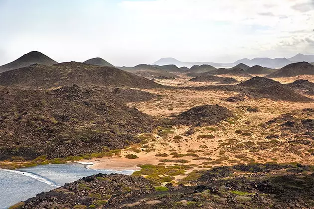 Øya Lobos i et naturlig univers i seg selv