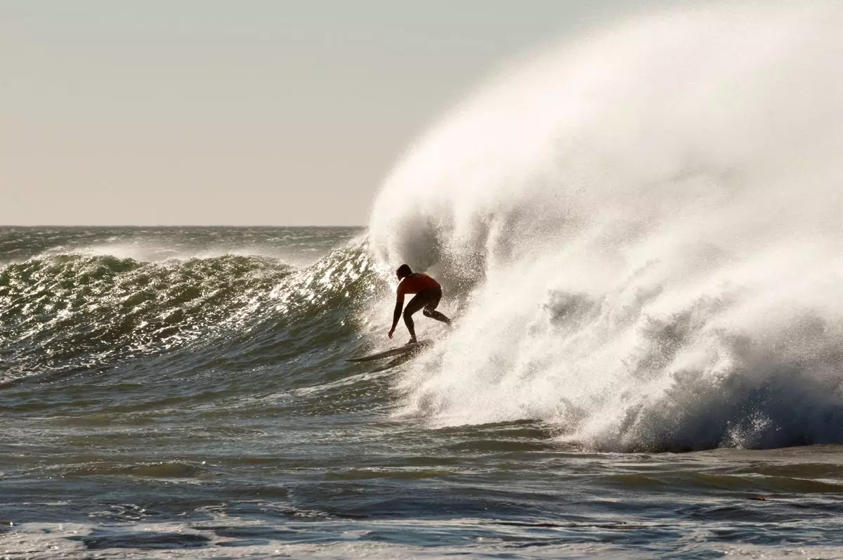 Għaliex kulħadd għandu surf