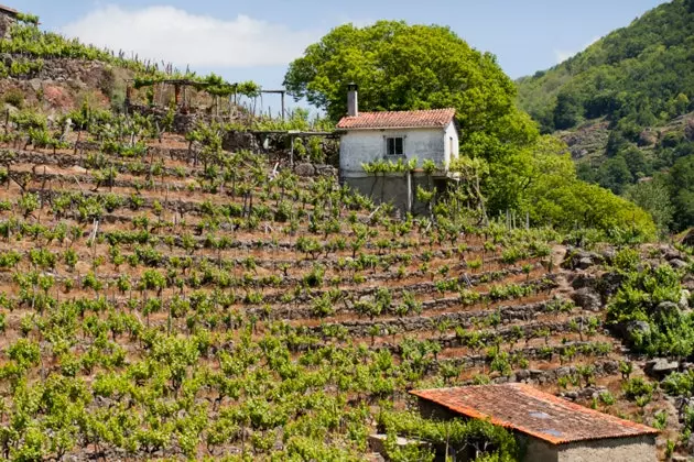 וויניערדז פון די Ribeira Sacra