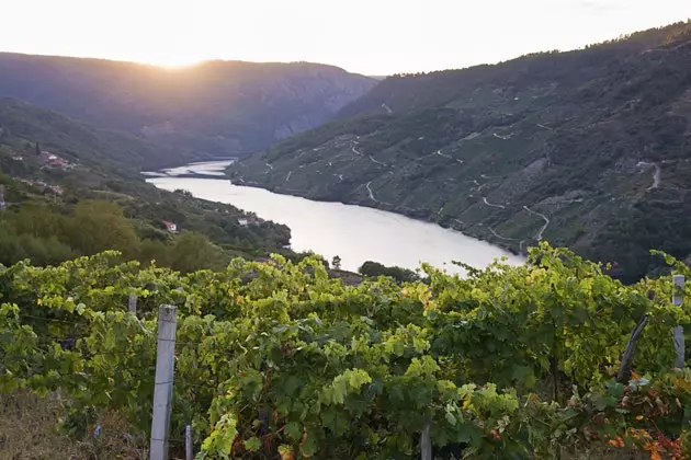 The socalcos of the Ribeira Sacra