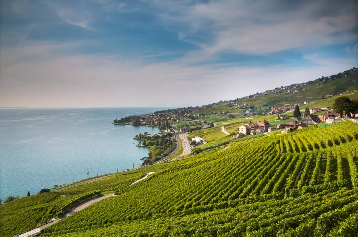 Panoramablick auf die Weinberge des Lavaux