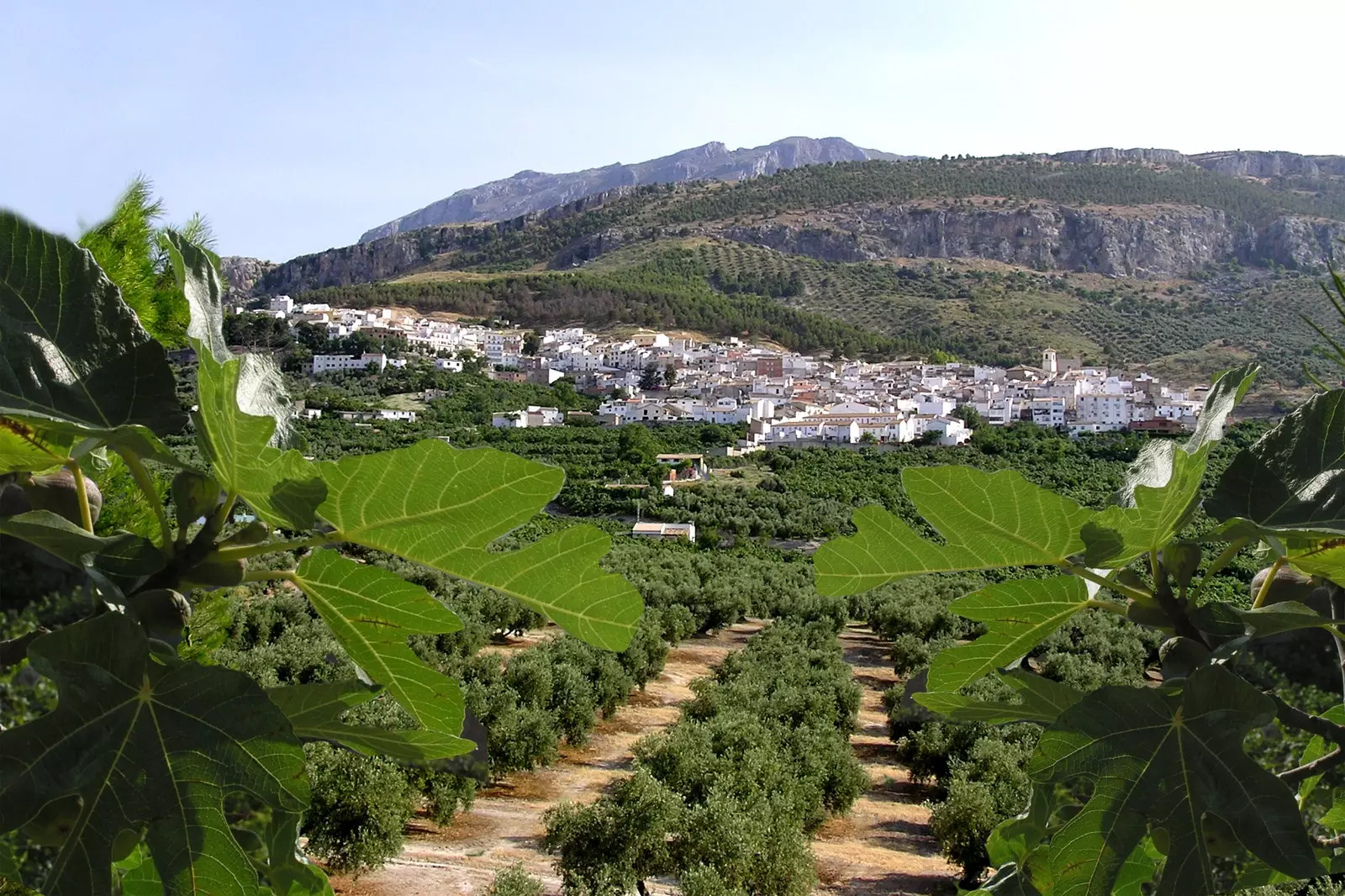 Pemandangan panorama Jimena di Jan