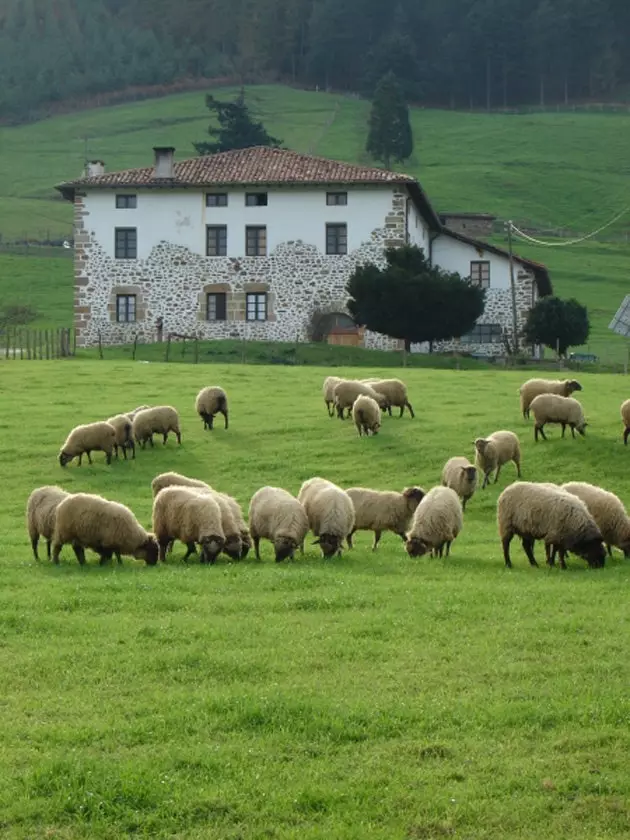 Euskal Herria pastorālais ekomuzejs