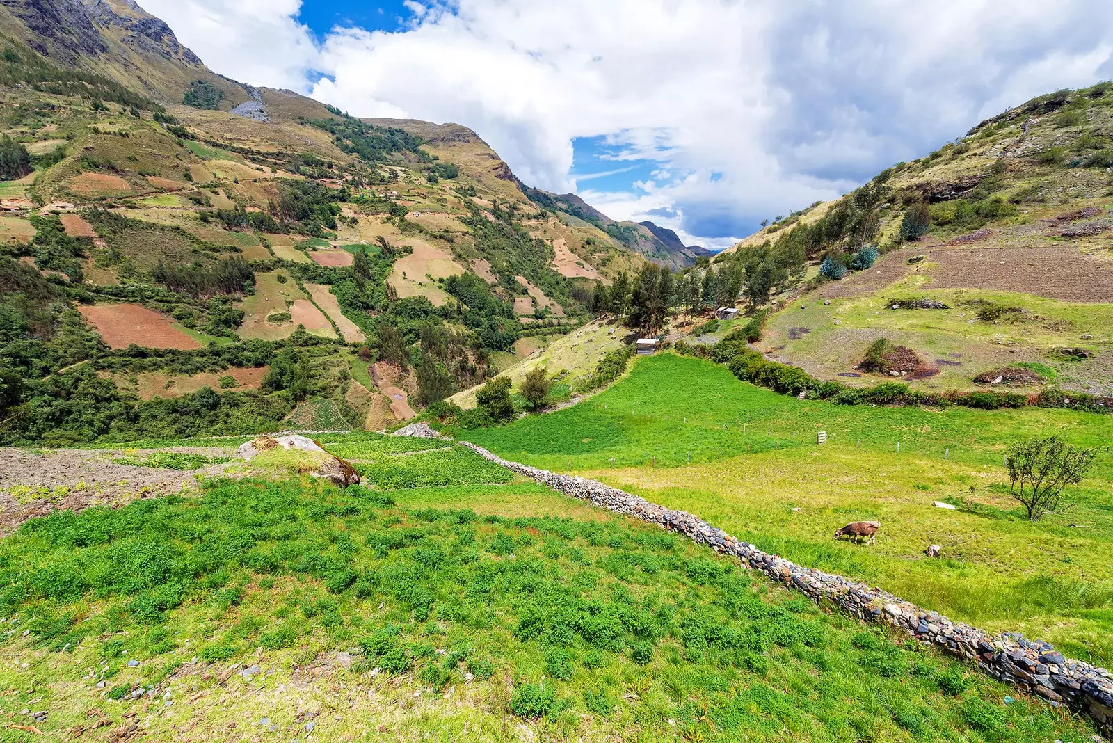 Pajsaġġ muntanjuż fuq it-trek ta 'Santa Cruz ħdejn Huaraz Peru