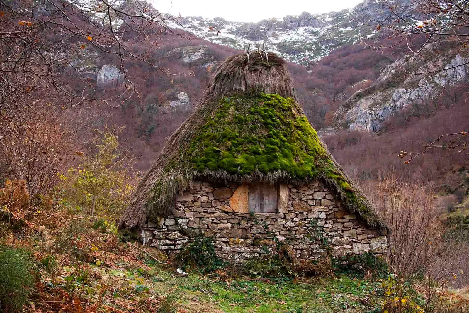 Teito im Naturpark Somiedo