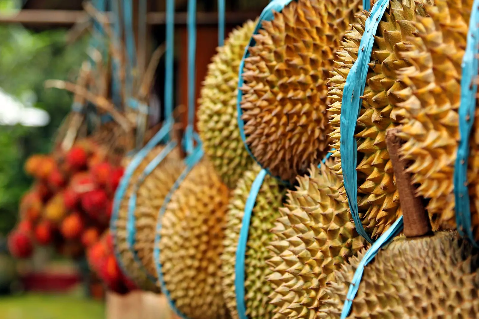 Ikke la det ytre utseendet til jackfruit lure deg.