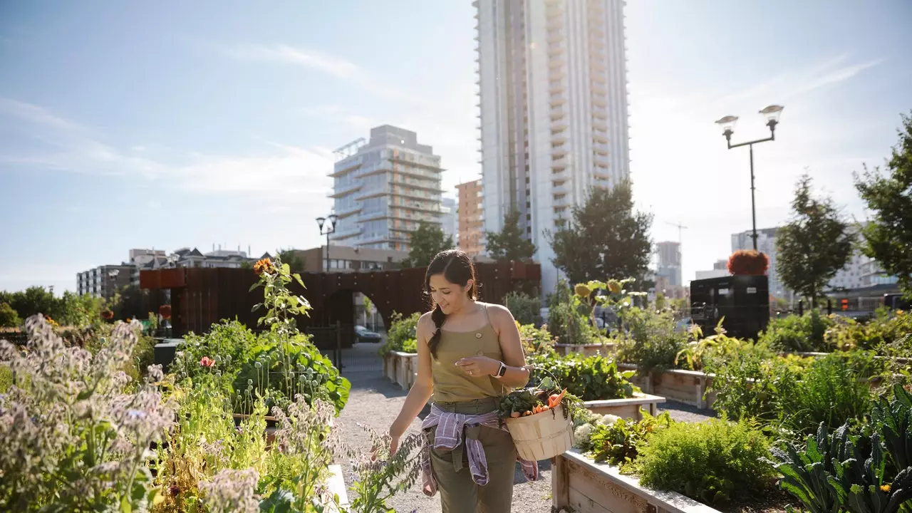 Dit zijn de 10 meest veganistische steden ter wereld in 2019