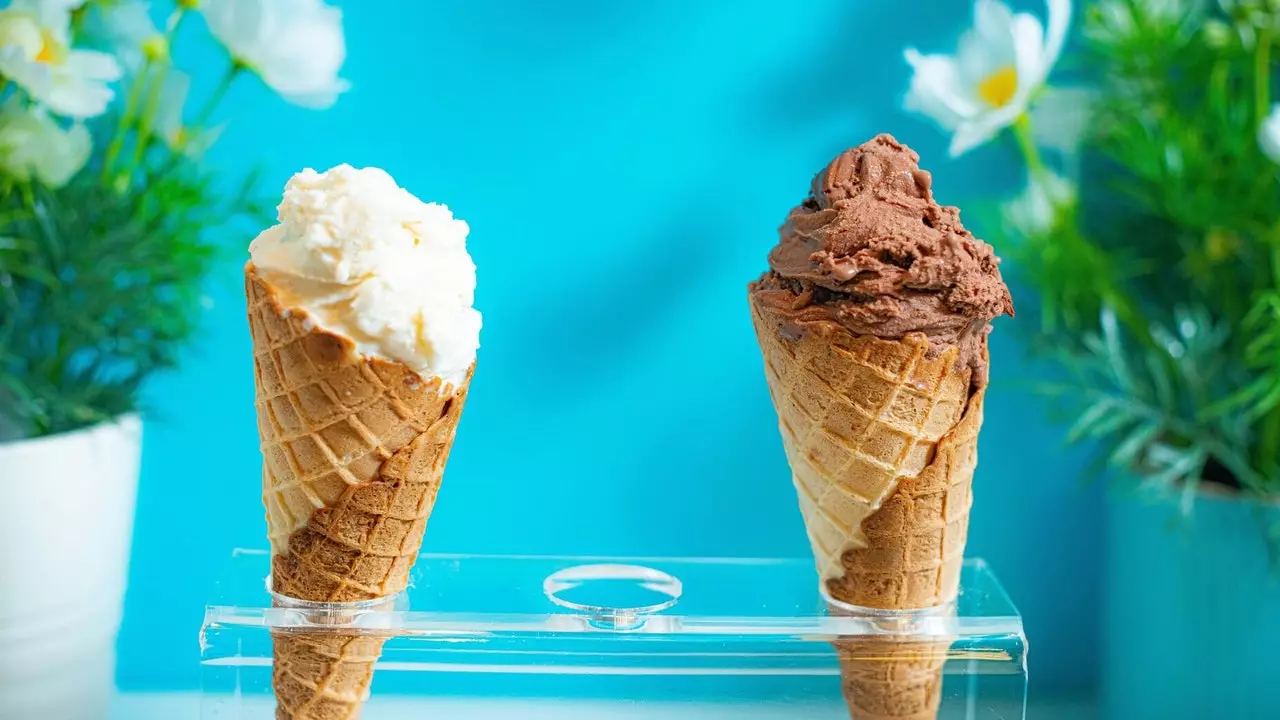 Happlant: vegan, ini es krim Anda