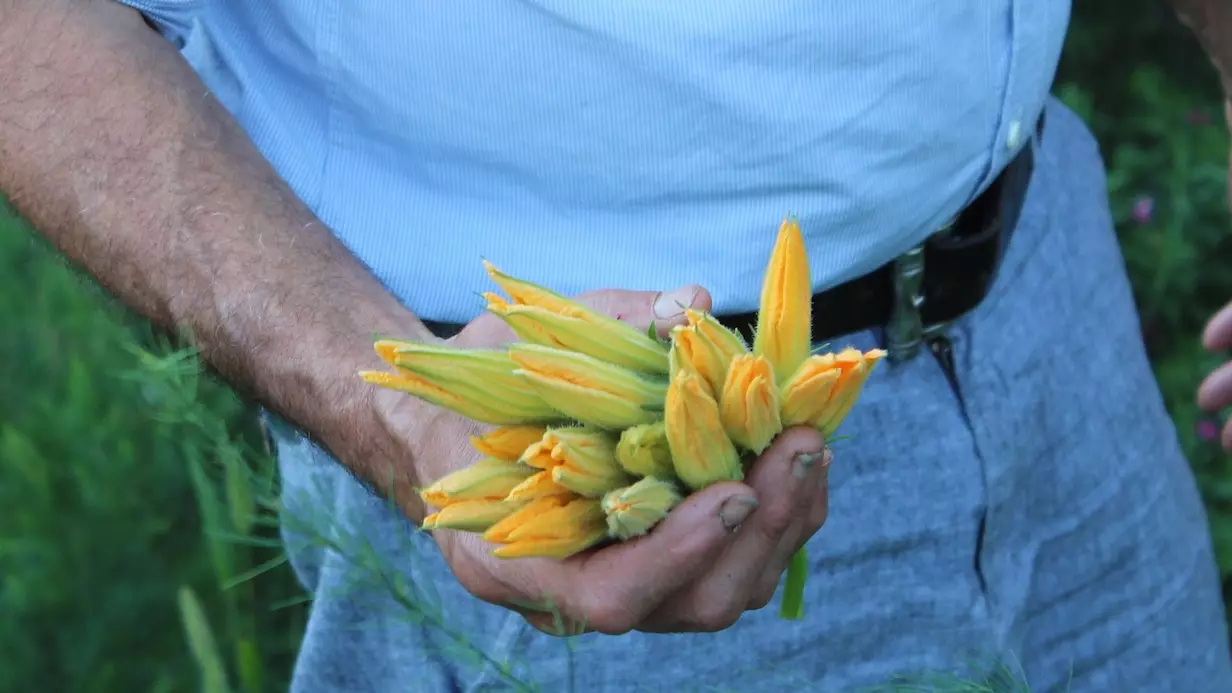 L'agriculture douce de deBosc ou un couple avec beaucoup de main verte