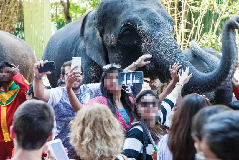 Selfie se zvířaty jsou kruté.