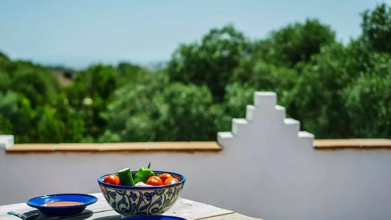 Eng ko'p terilgan gazpacho retseptlari (va ularni qayerda sinab ko'rish kerak)