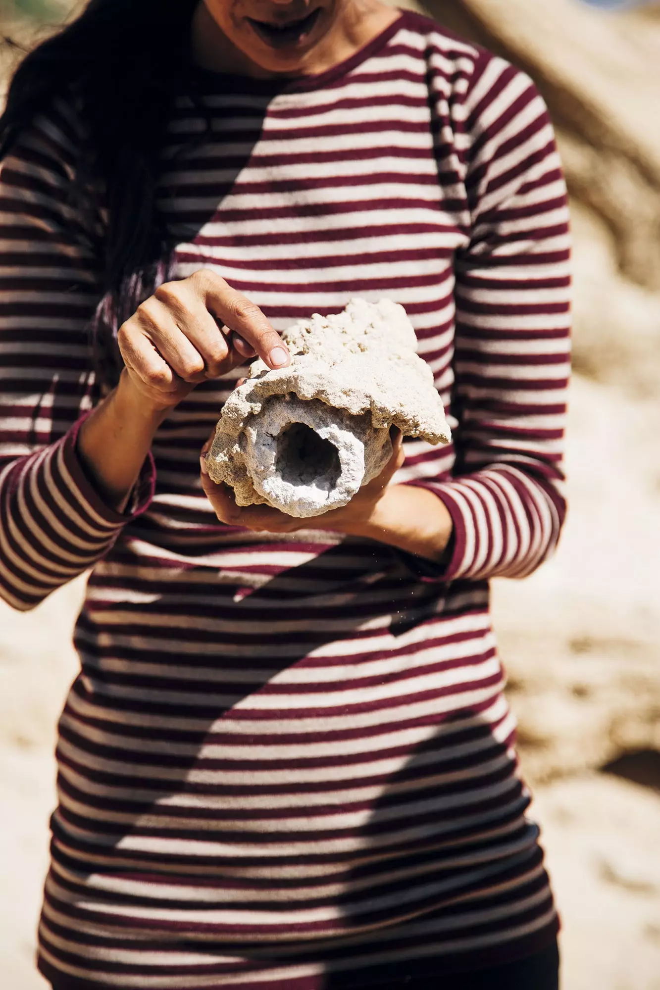 Siput fosil di bukit pasir paleo di utara pulau Porto Santo