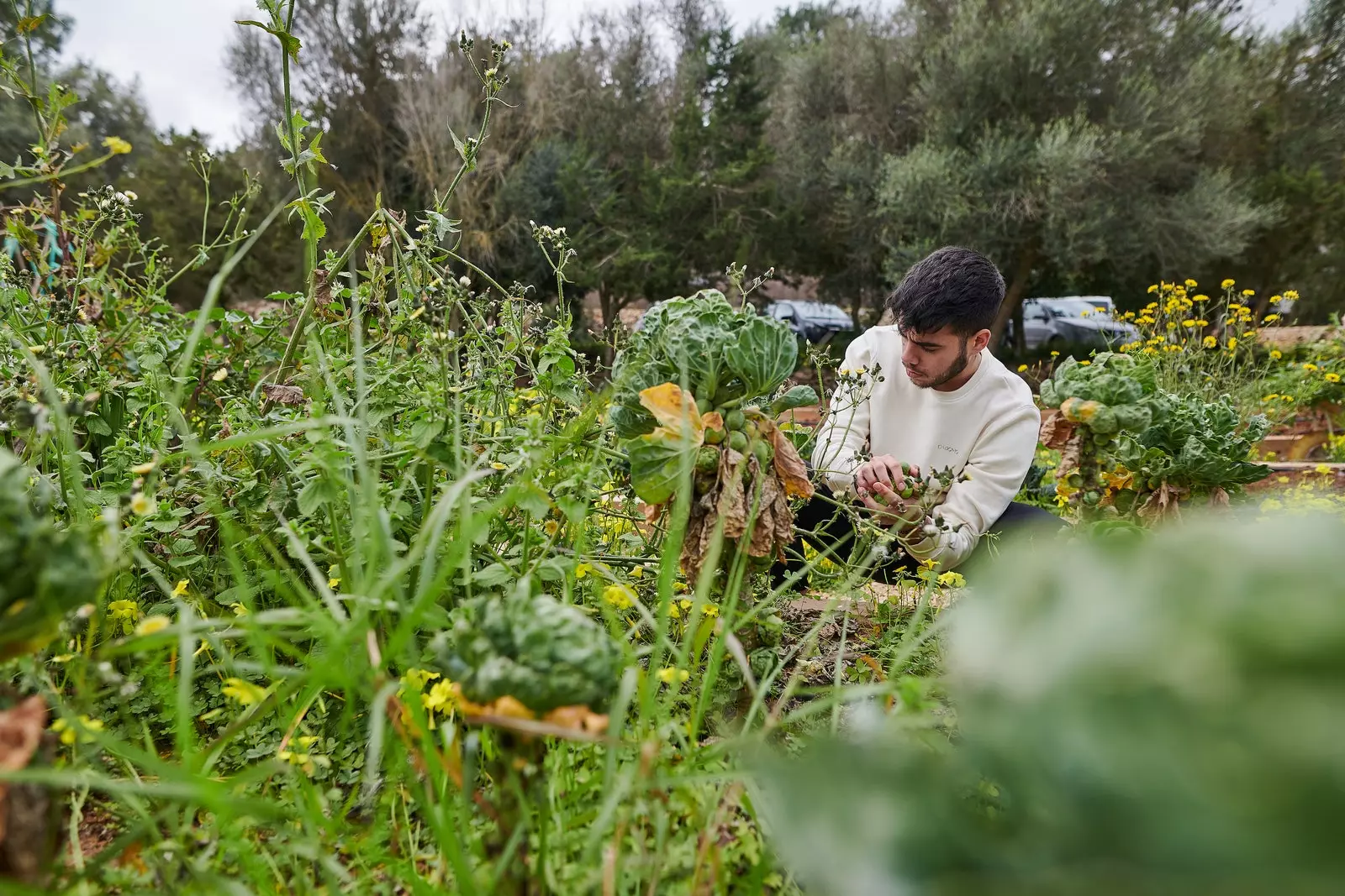 A l'hort de Can Domo.