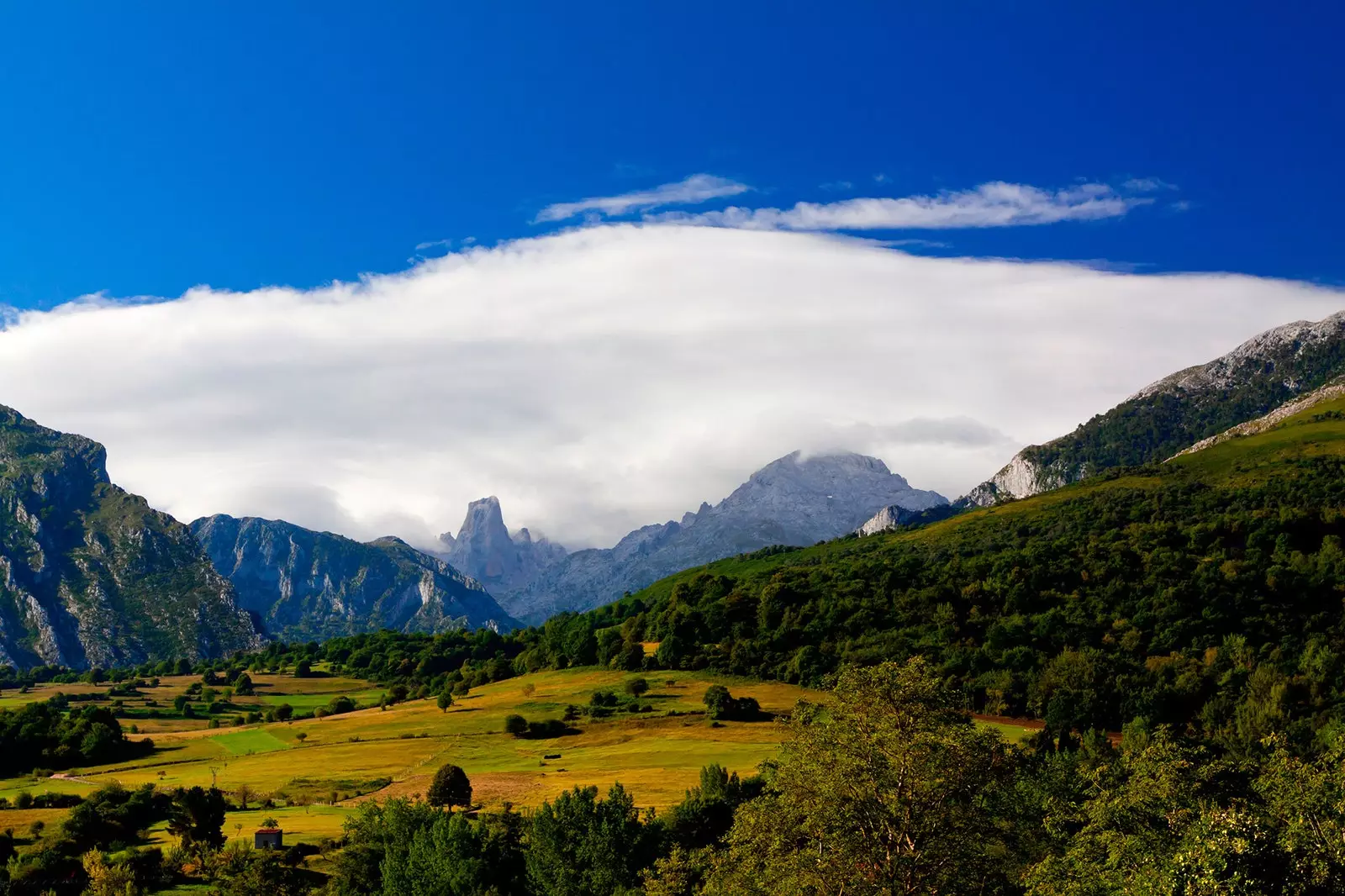 Jingga dari Bulnes Asturias