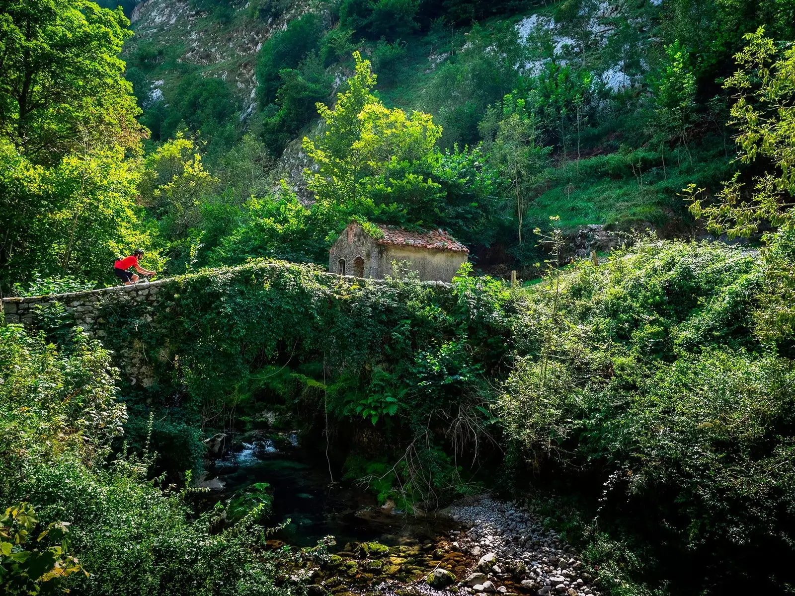 Cabrales Asturie