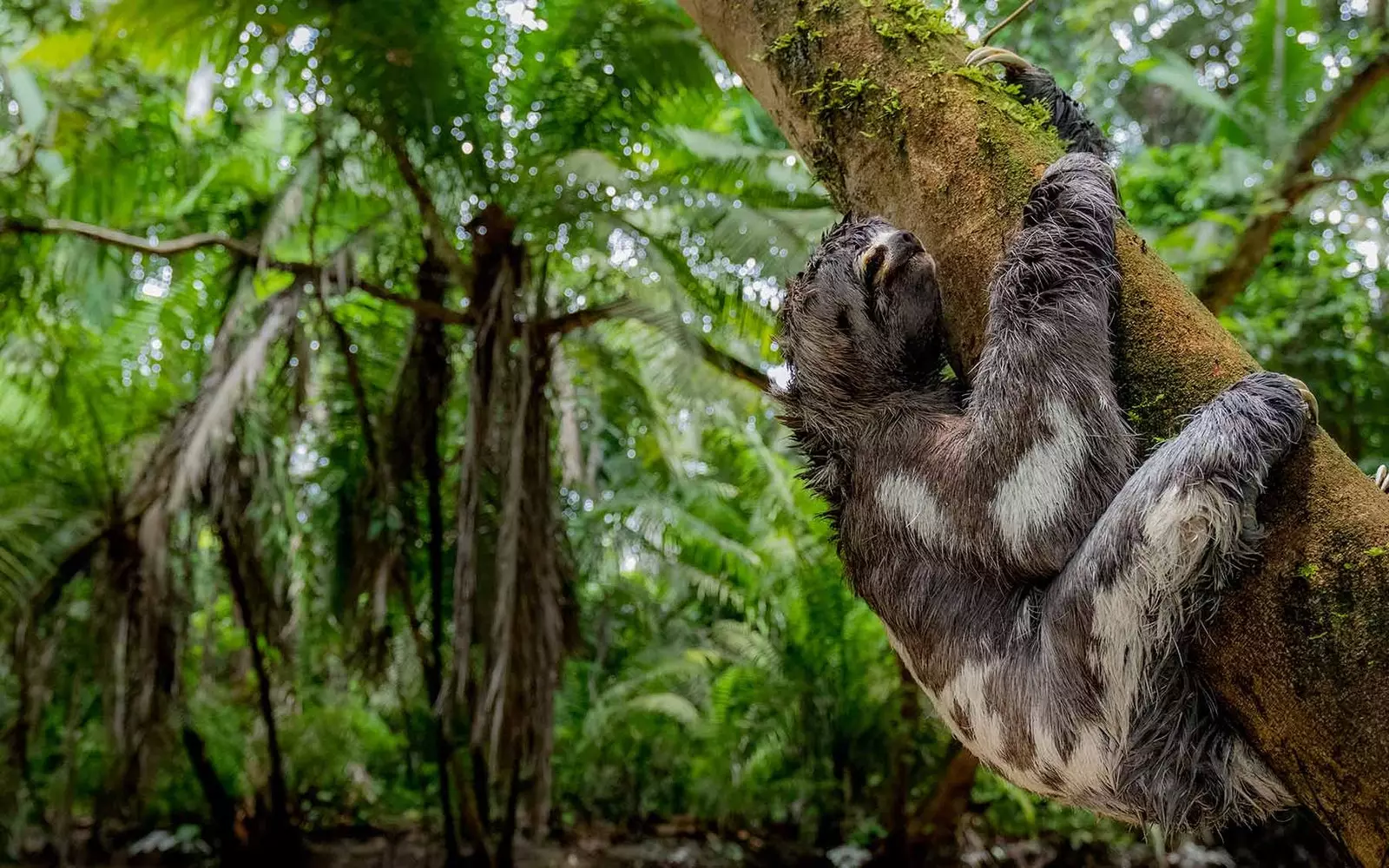 Abraços e respeito na natureza