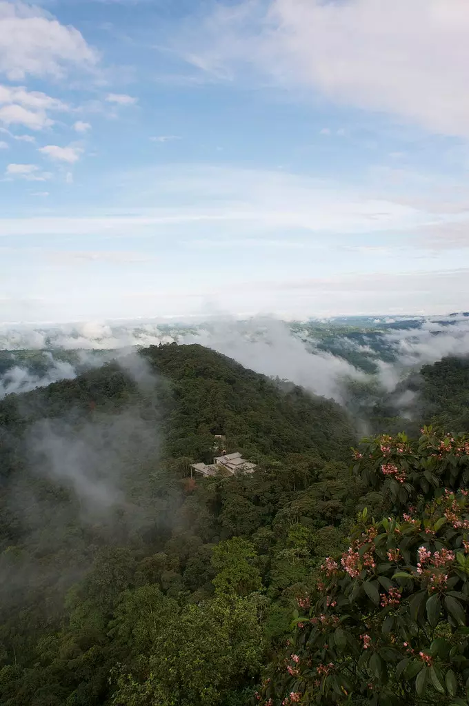 Veduta tal-Mashpi Lodge