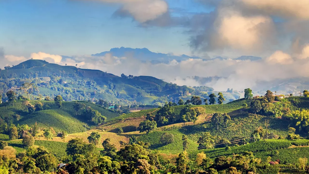 Khám phá vùng cà phê tuyệt vời ở Colombia