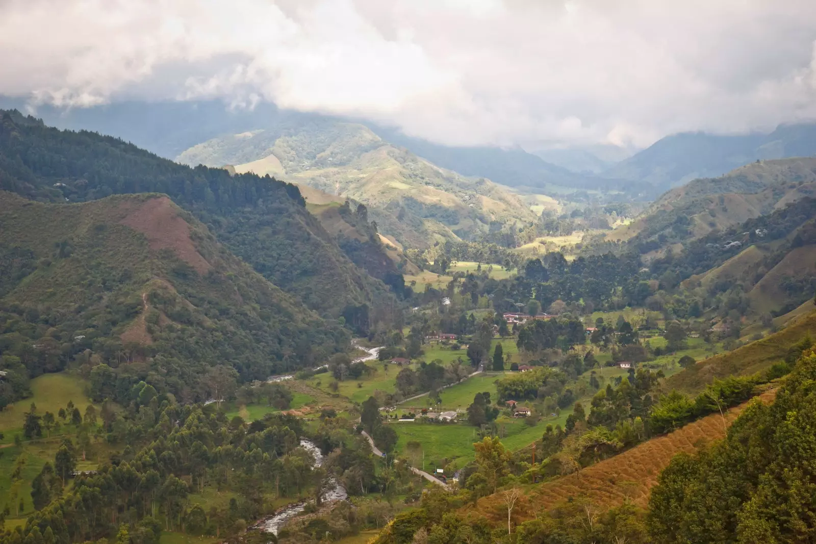 Armenia imezungukwa na mashamba ya kahawa