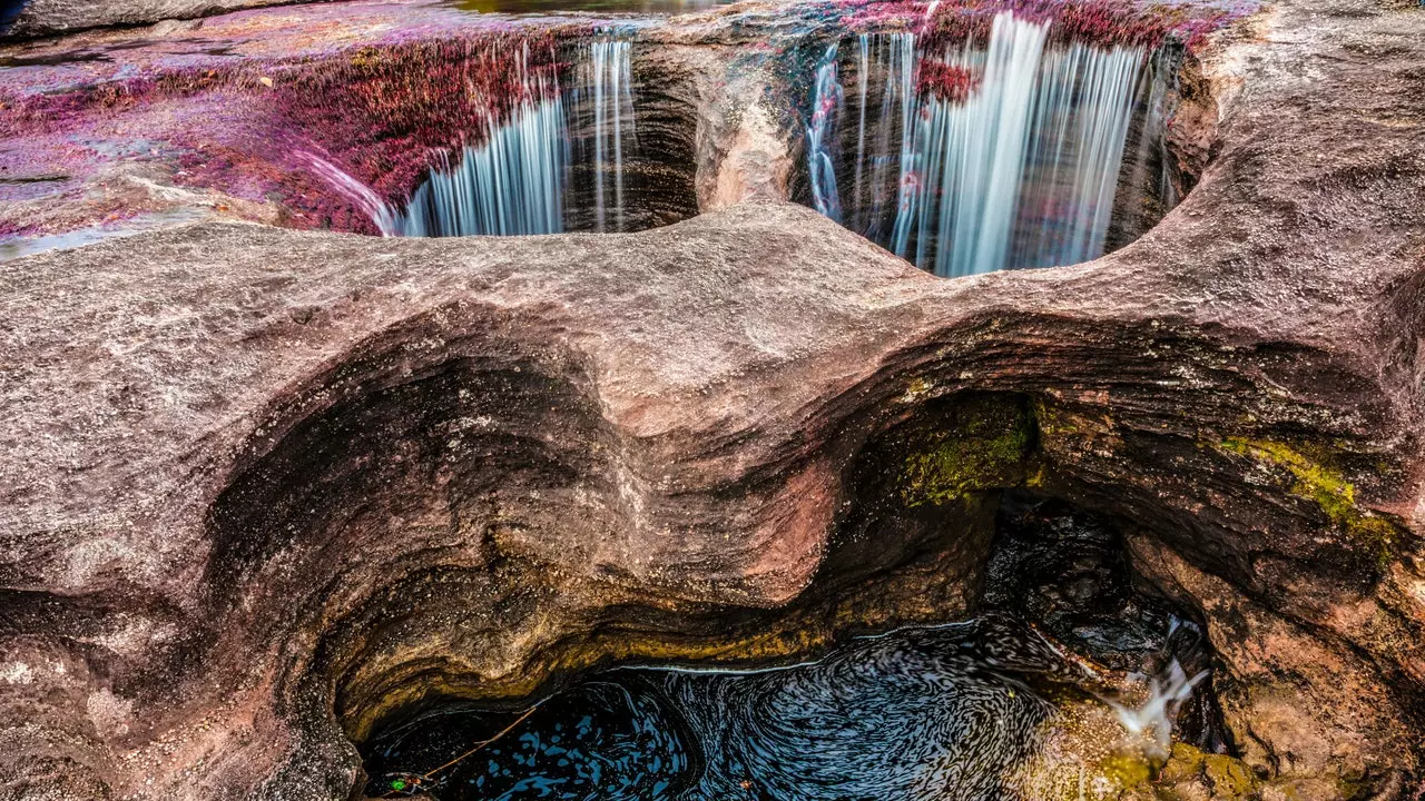 Caño Cristales - ကမ္ဘာပေါ်ရှိ အလှပဆုံးမြစ်သည် ကိုလံဘီယာတွင်ဖြစ်သည်။