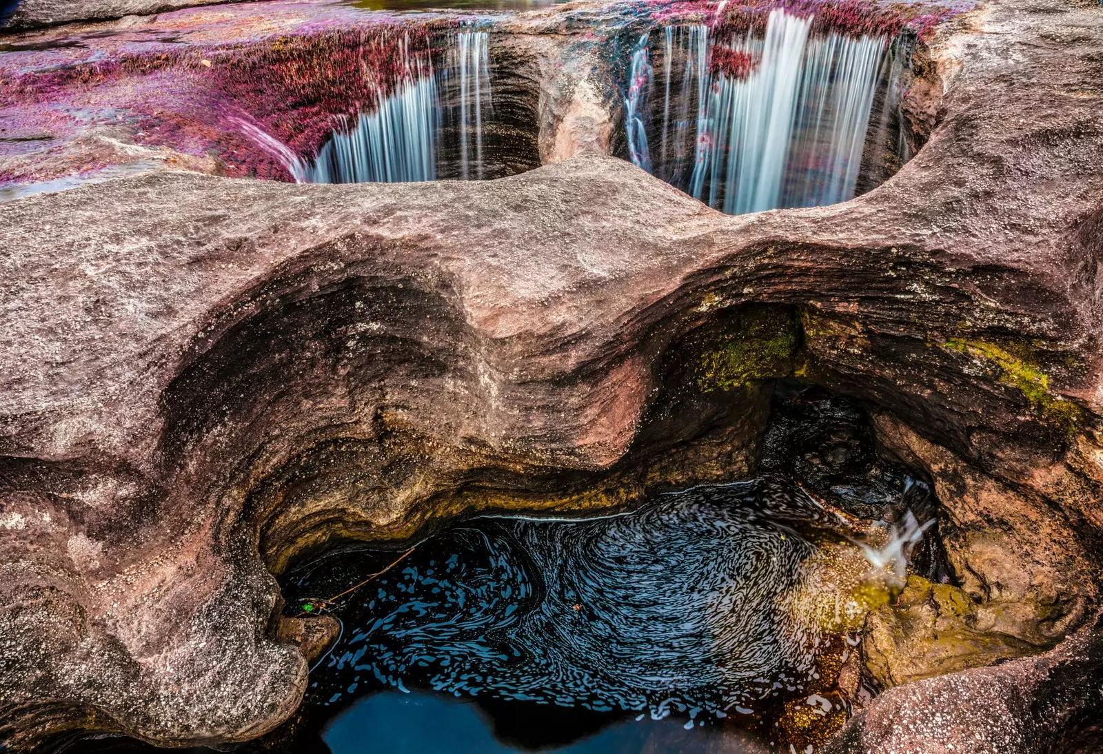 Caño Cristales je najljepša rijeka na planeti u Kolumbiji