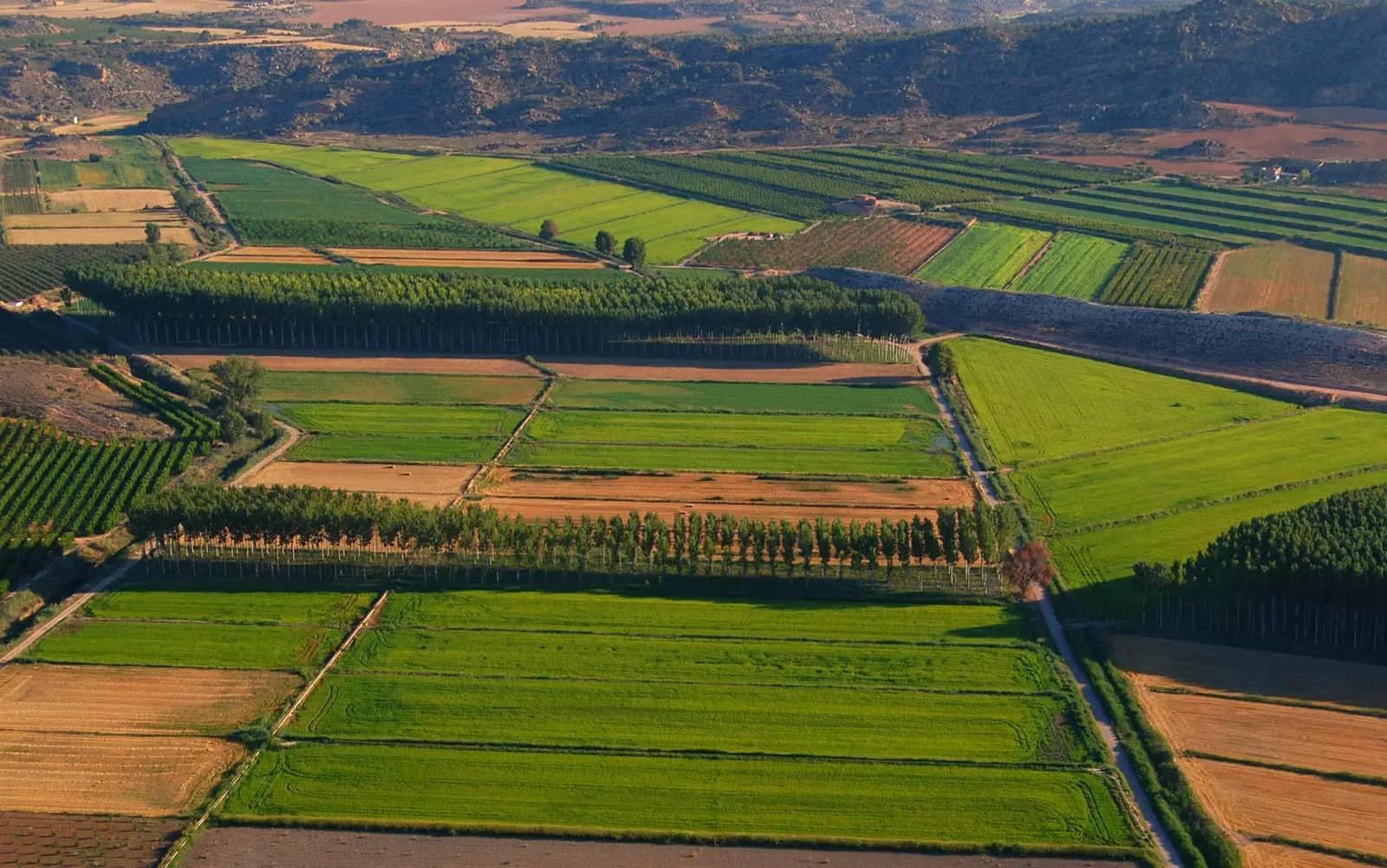 Pemandangan udara Prados de Colono Aragón.