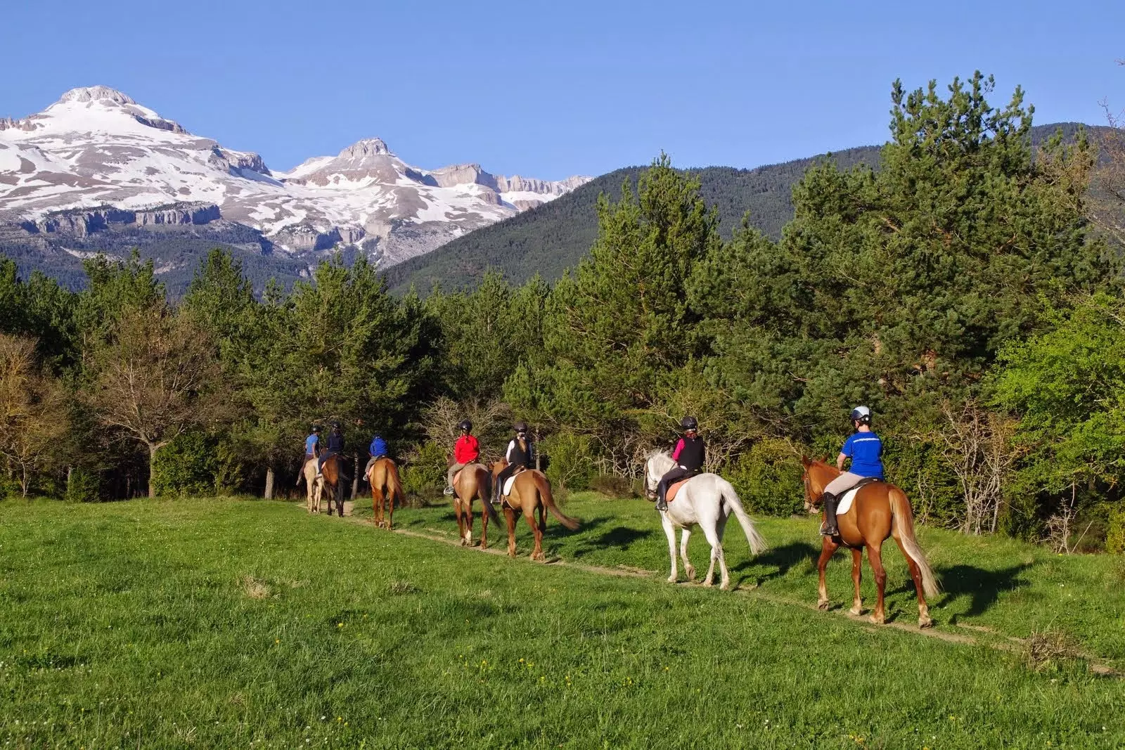 Auf einem Pferd durch Aragon reiten