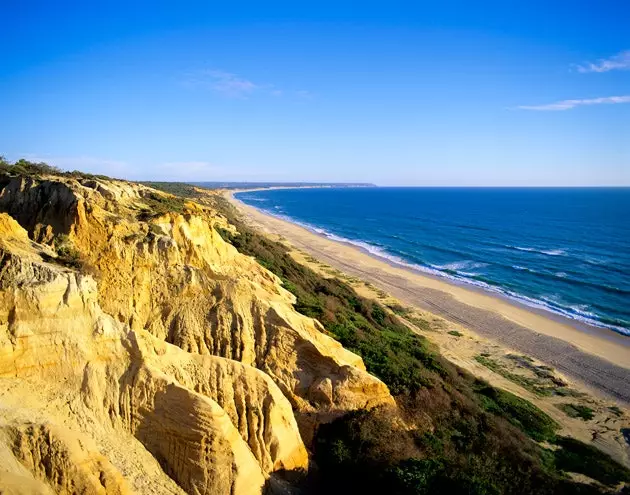 Η Costa de Caparica στην ποικιλία είναι η γεύση