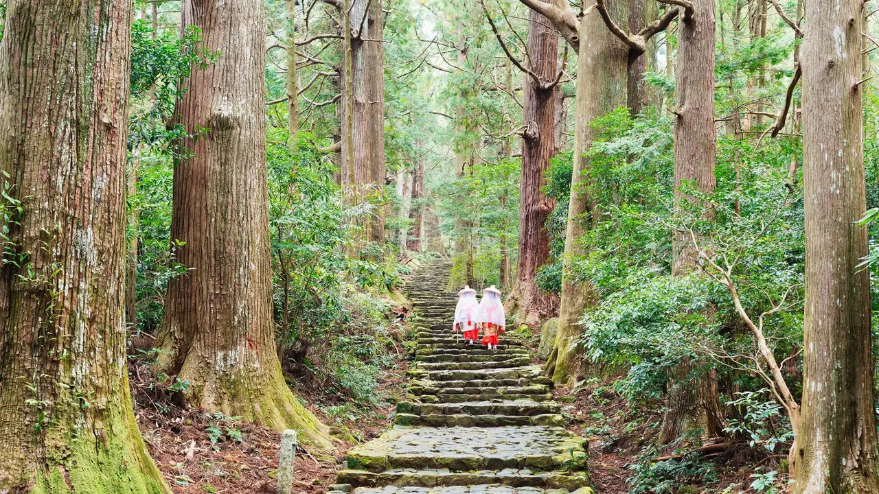 Kumano Kodo 또는 일본 영성