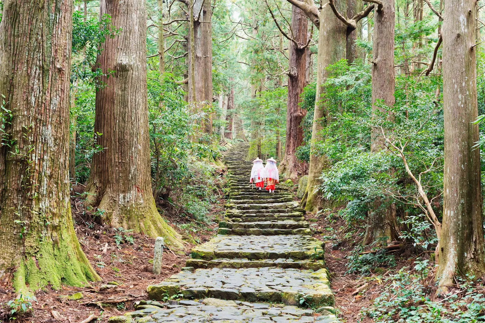 Kumano Kodo eða japanskur andlegi