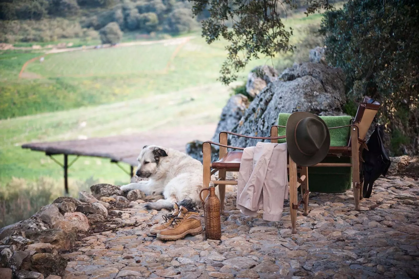 cachorro e cadeira ao ar livre em la donaira