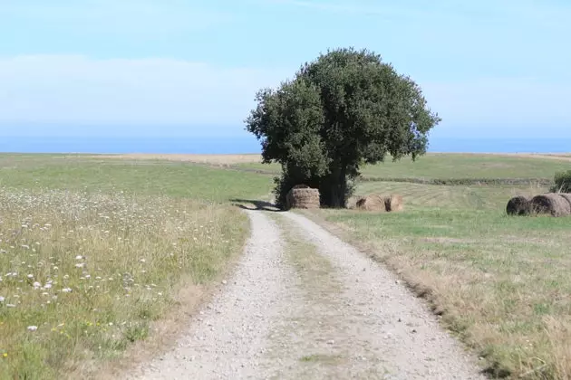 Asturiska kustslätten