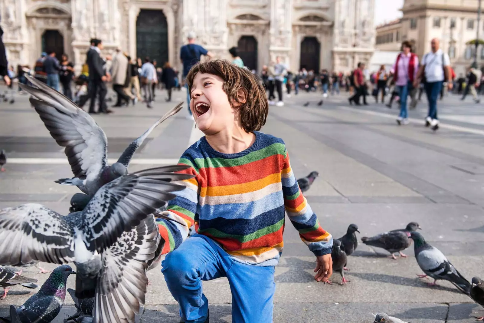 garçon s'amusant avec des pigeons