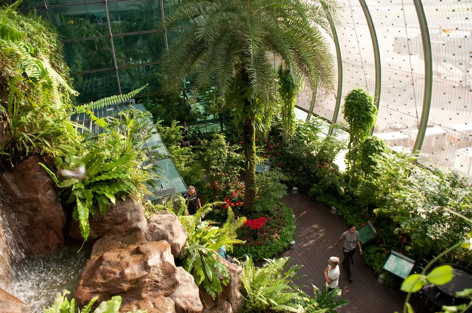 Changi Airport Butterfly Garden i Singapore