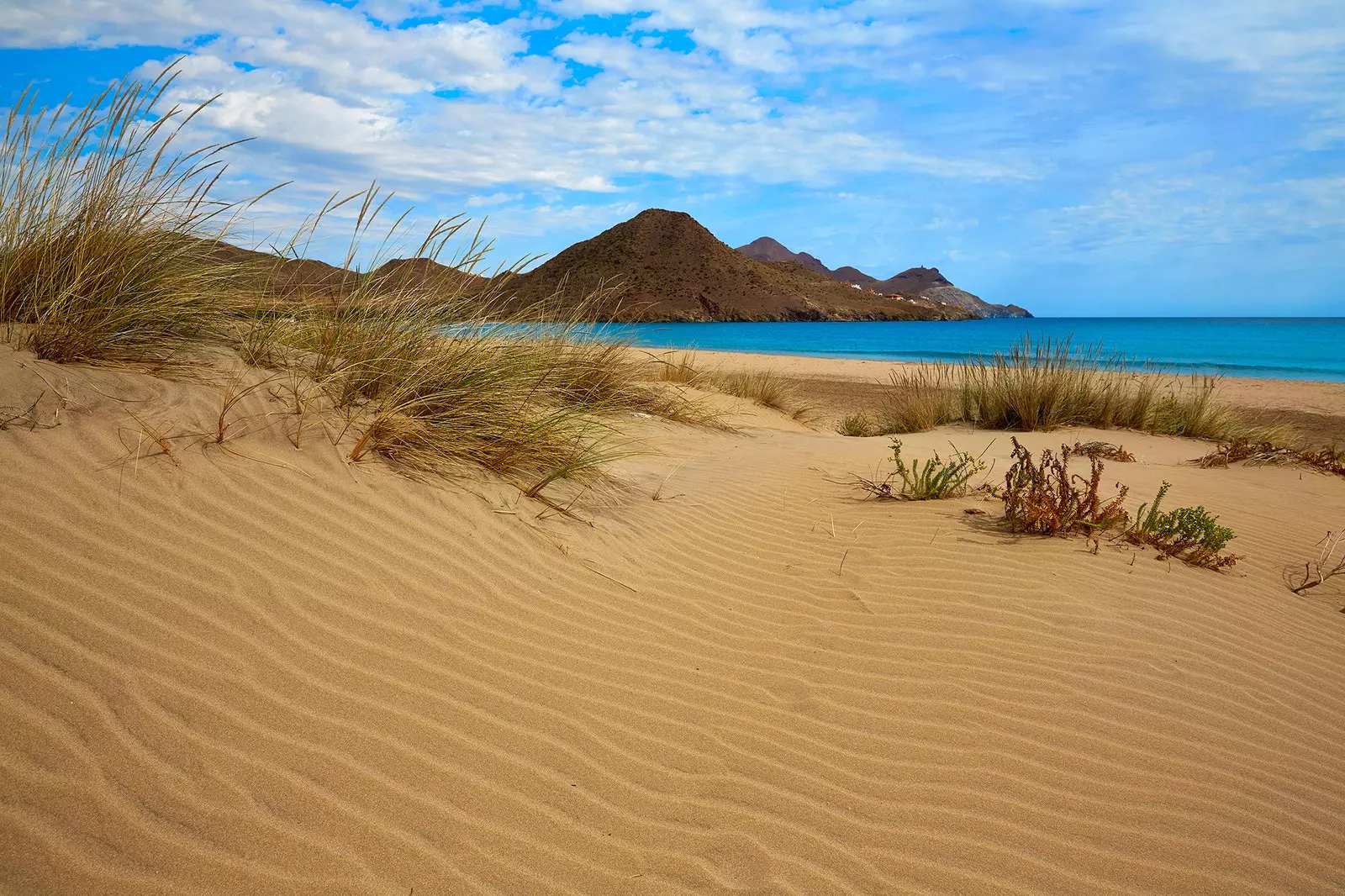 Sanddynene på stranden til Genoveserne