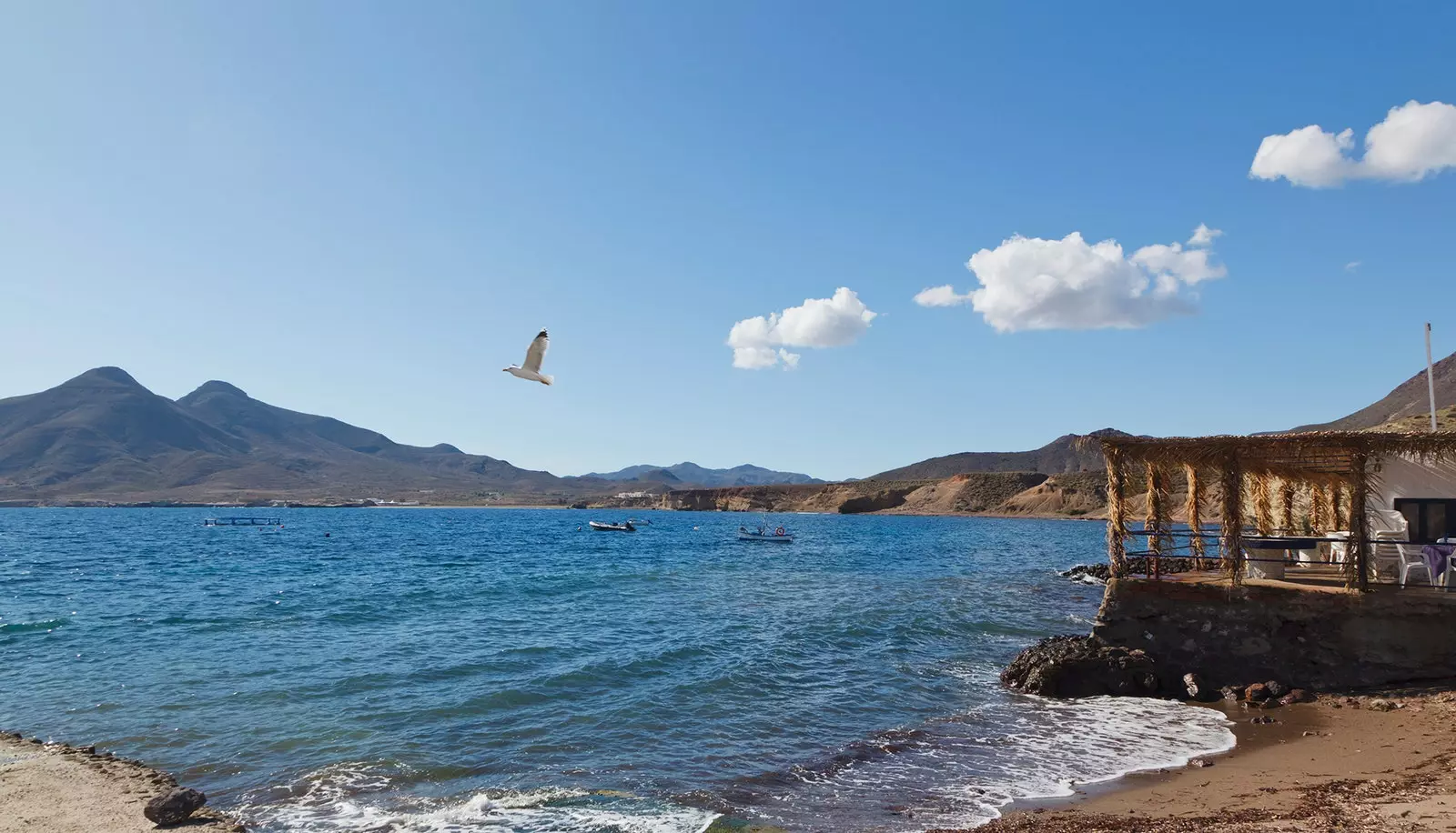 Isleta del Moro perfect to eat looking at the sea